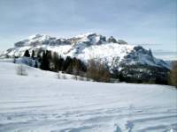 Alta Val Badia (146), Dolomiti (70), Sci Alpino (290)